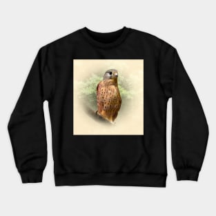 Kestrel Crewneck Sweatshirt